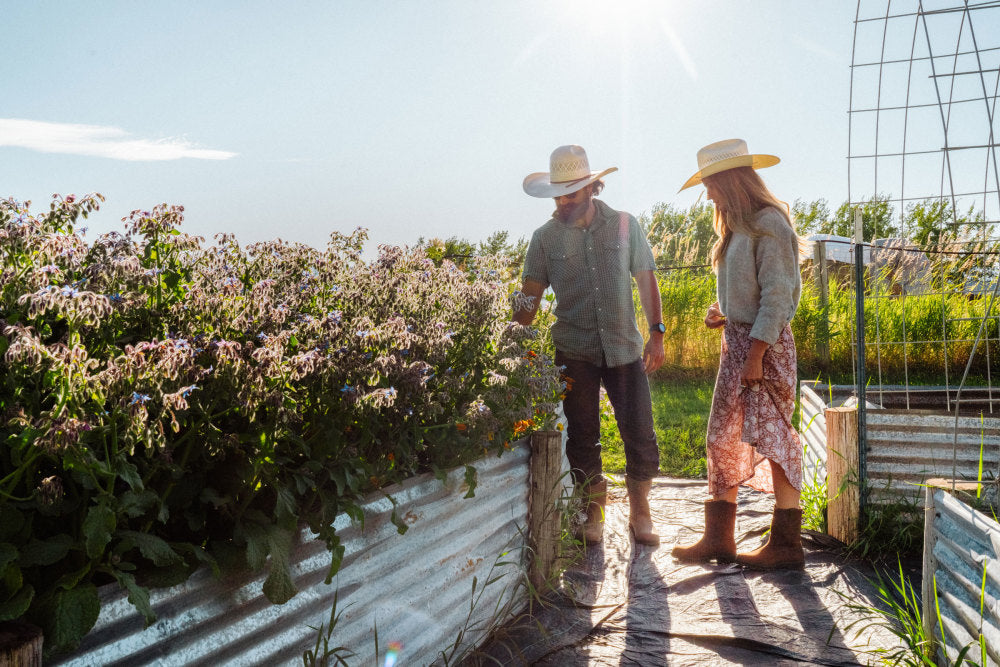 Men's Originals #2529 - Image 10