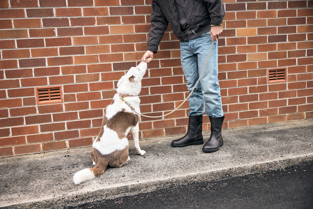 Men's Originals #2528 - Image 4