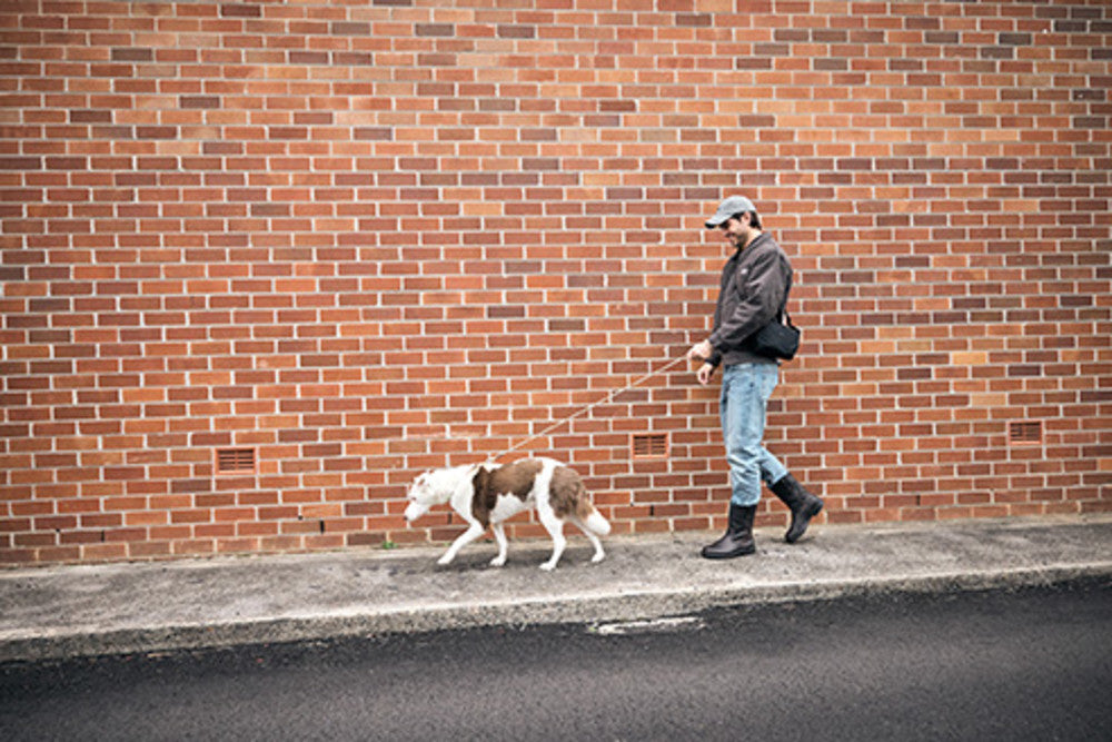 Men's Originals #2528 - Image 5