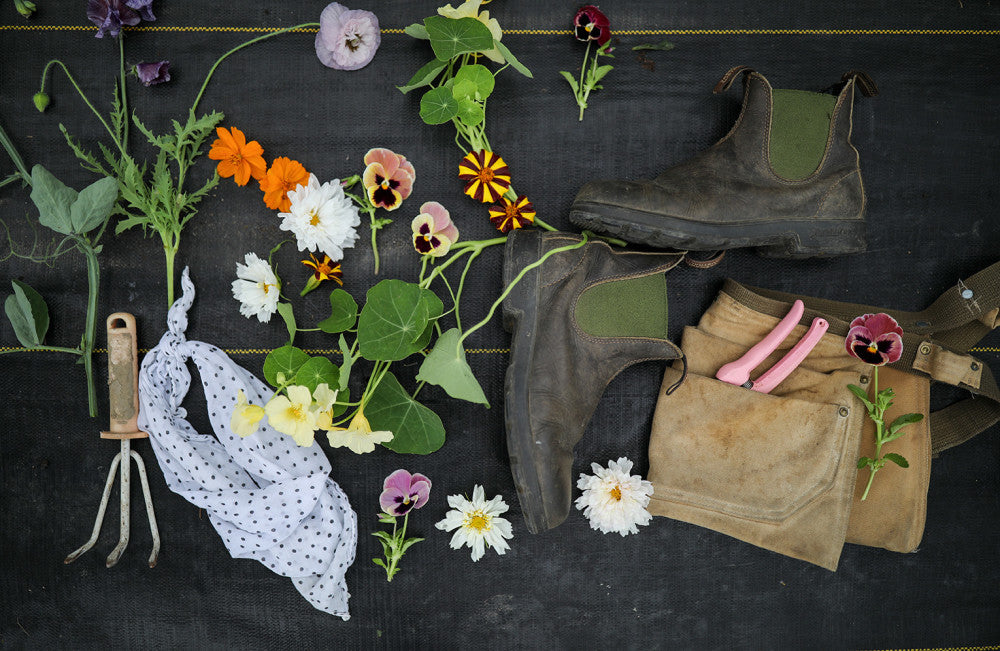 Men's Originals #519 - Image 9